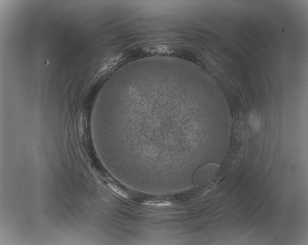 X0000078860747200611201313