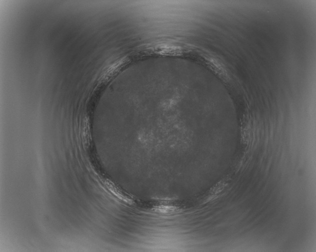 X0000078860748200611201313