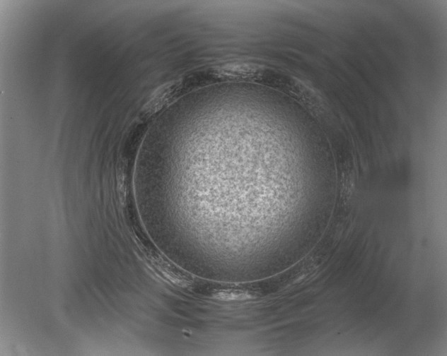 X0000078860749200611201313