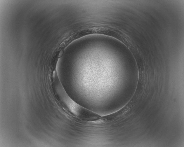 X0000078860750200611201313