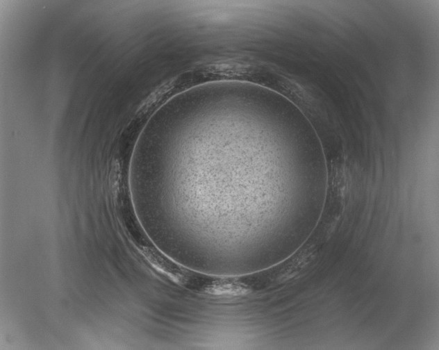 X0000078860752200611201313