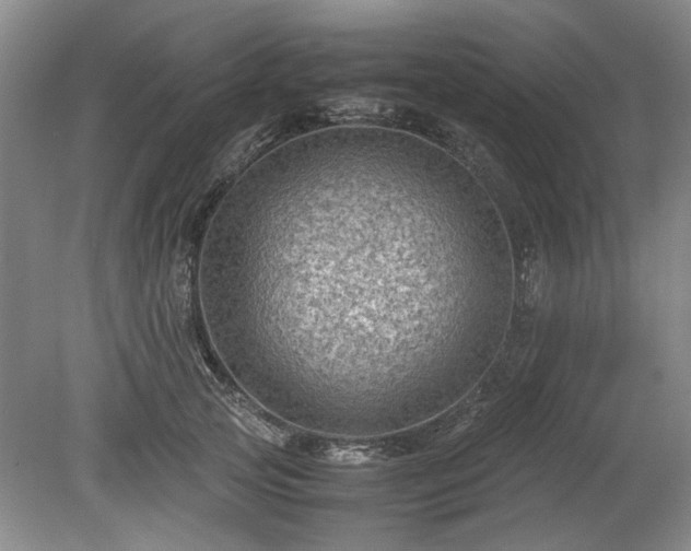 X0000078860753200611201313