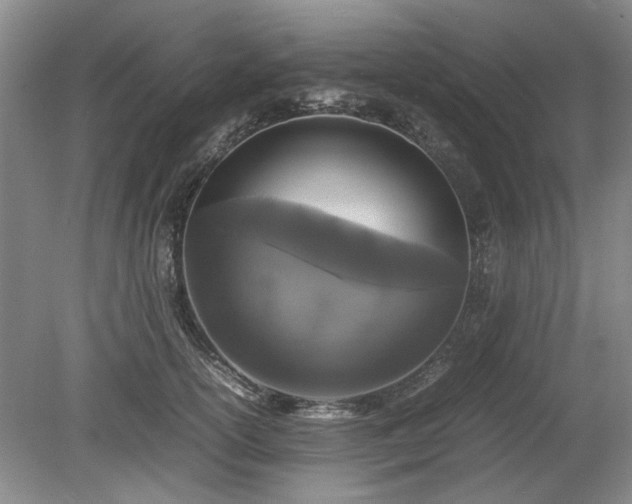 X0000078860754200611201313