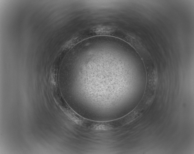 X0000078860755200611201313