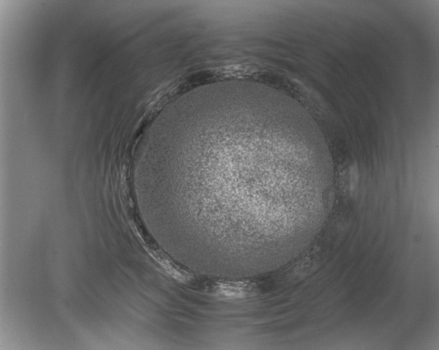 X0000078860757200611201313