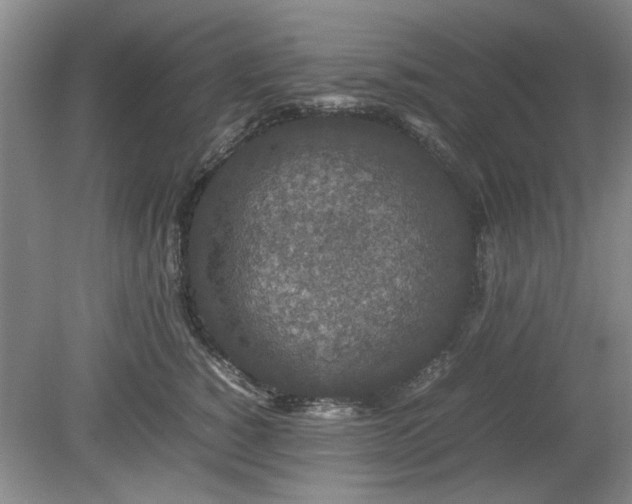 X0000078860760200611201313