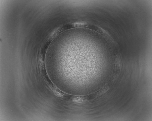 X0000078860761200611201313