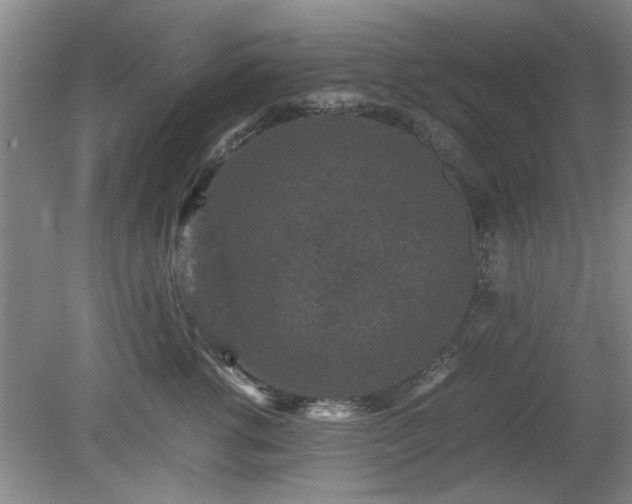 X0000078860762200611201313