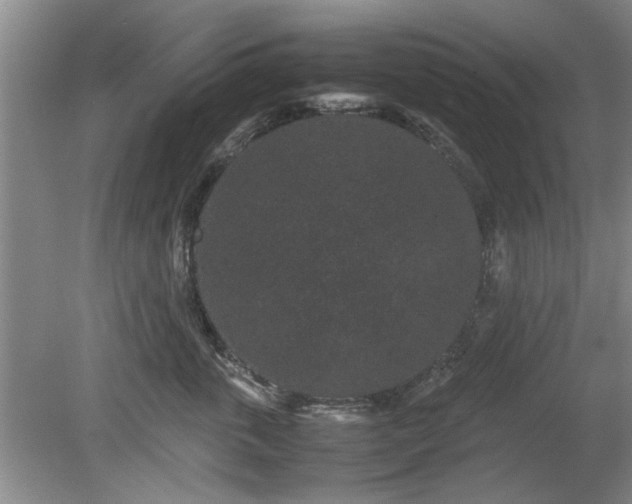 X0000078860763200611201313