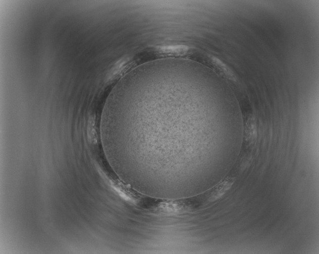 X0000078860764200611201313