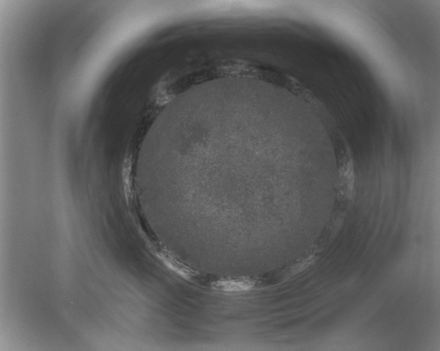 X0000078860765200611201313