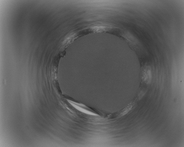 X0000078860766200611201313