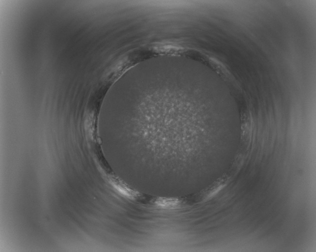 X0000078860767200611201313