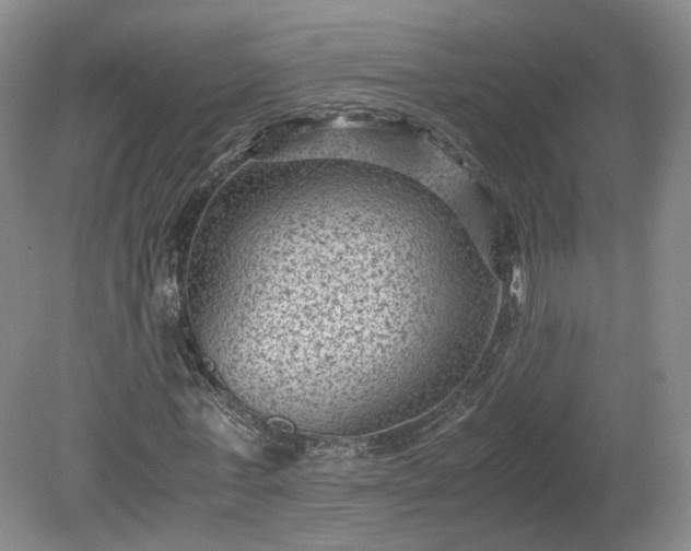 X0000078860771200611201312