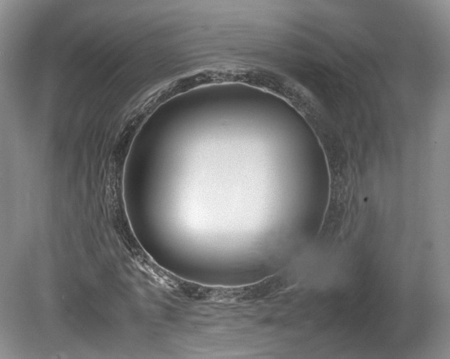 X0000078860773200611201312