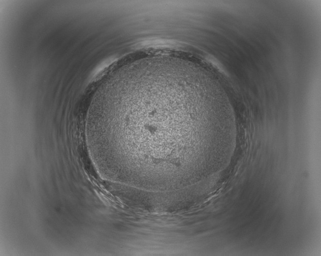 X0000078860775200611201312