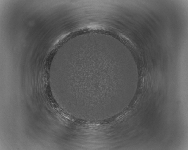 X0000078860776200611201312