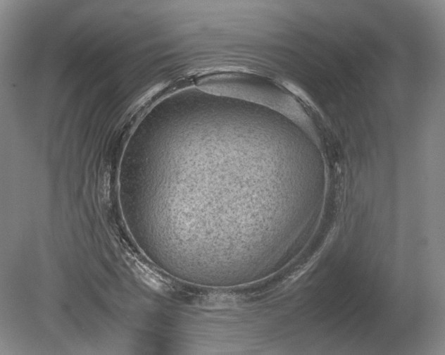 X0000078860777200611201312