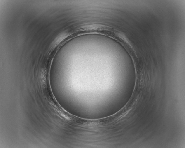 X0000078860778200611201312