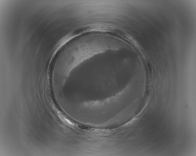 X0000078860779200611201312