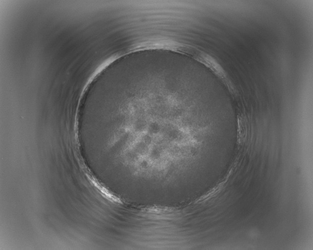 X0000078860780200611201312