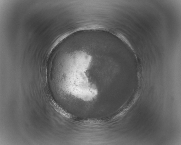 X0000078860781200611201312