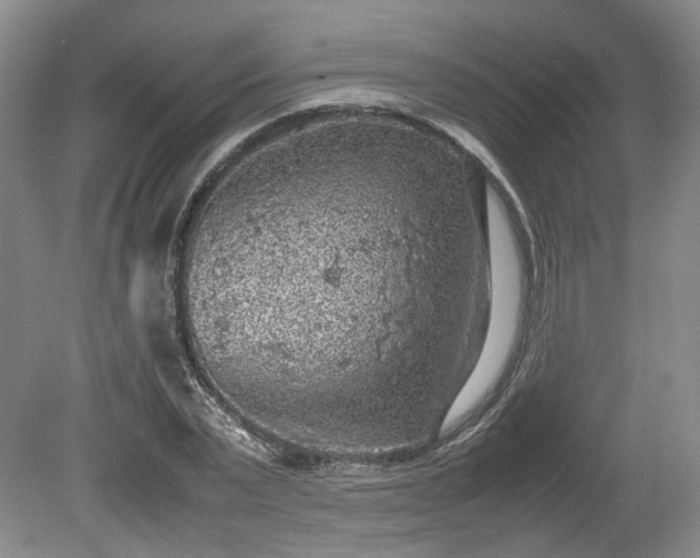 X0000078860783200611201312