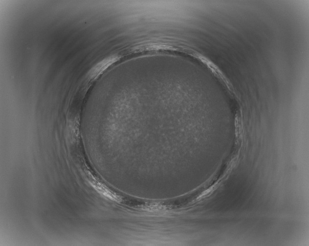 X0000078860785200611201312