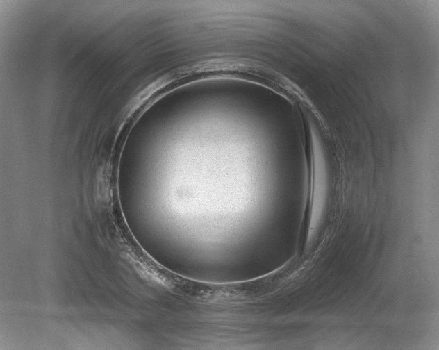 X0000078860786200611201312