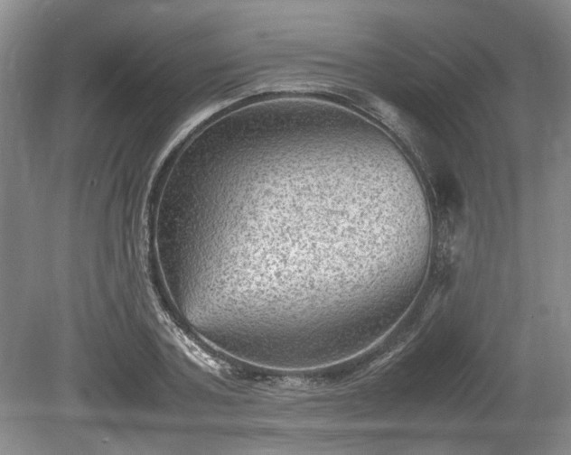 X0000078860787200611201312