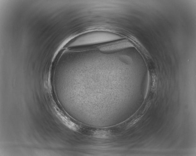 X0000078860788200611201312