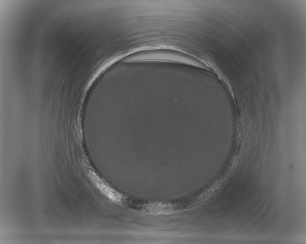 X0000078860789200611201312