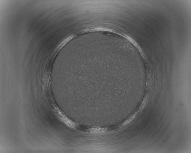 X0000078860793200611201312