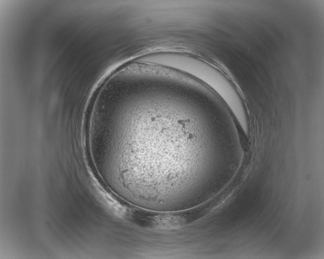 X0000078860795200611201312