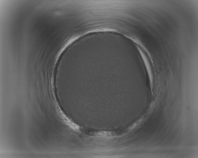 X0000078860797200611201312