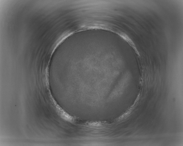 X0000078860798200611201312