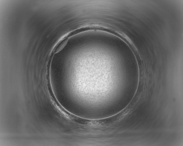 X0000078860799200611201312