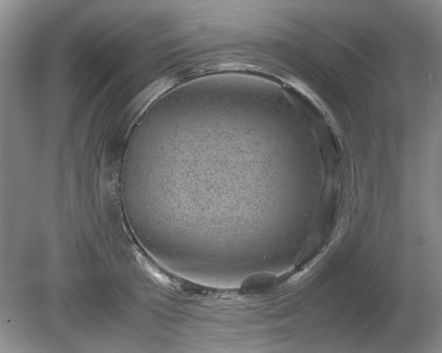 X0000078860801200611201312