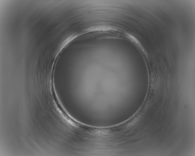 X0000078860802200611201312