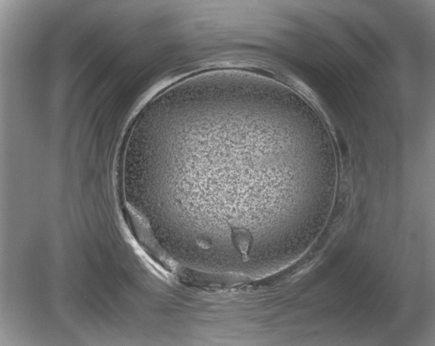 X0000078860803200611201312