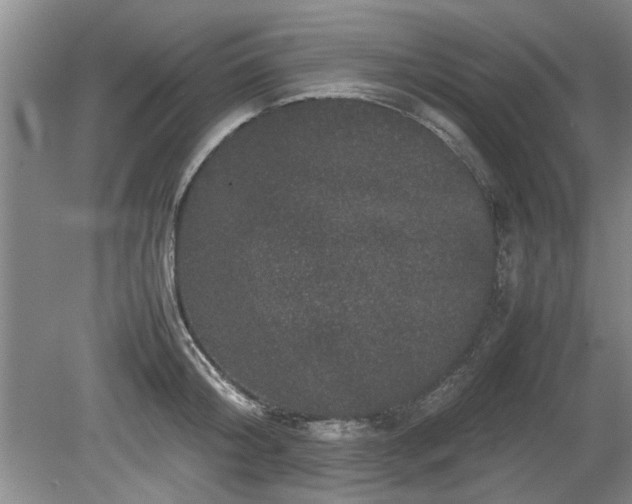 X0000078860804200611201312