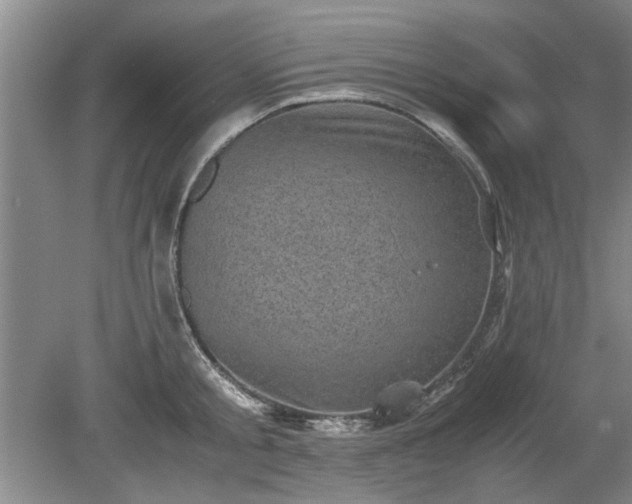 X0000078860805200611201312