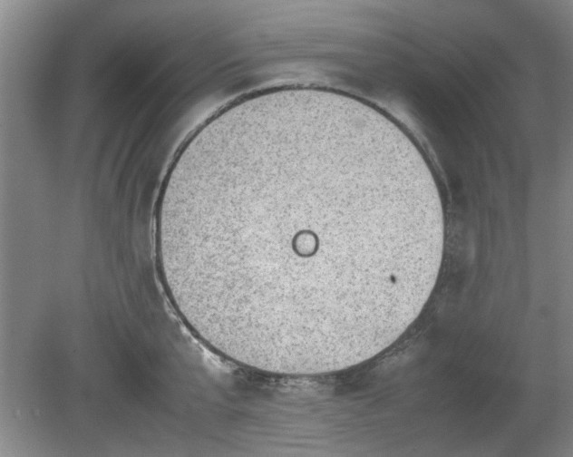 X0000078860807200611201312