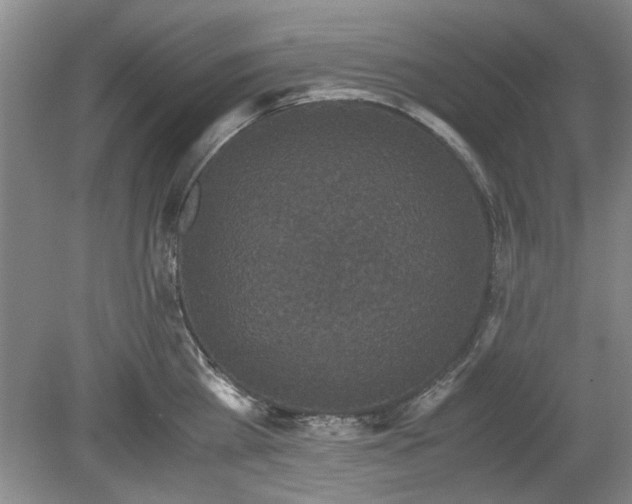 X0000078860809200611201312