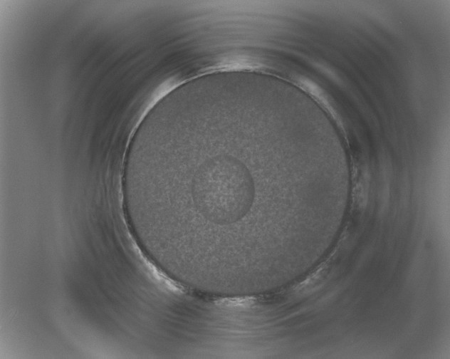 X0000078860810200611201312