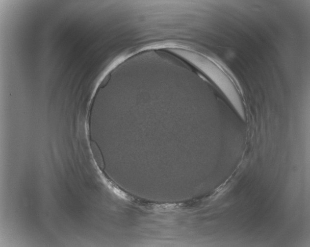 X0000078860813200611201312