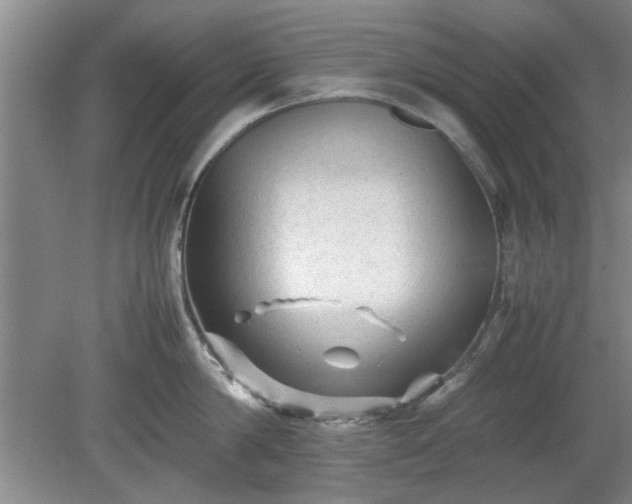 X0000078860814200611201312