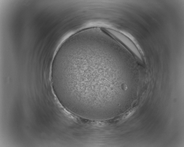 X0000078860815200611201312