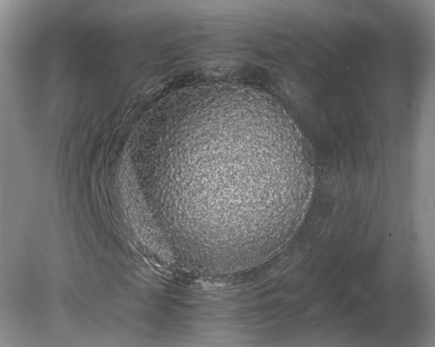 X0000078860817200611201311