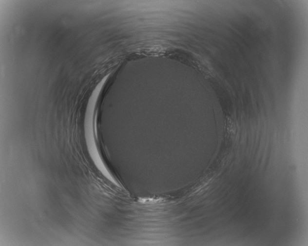 X0000078860818200611201311